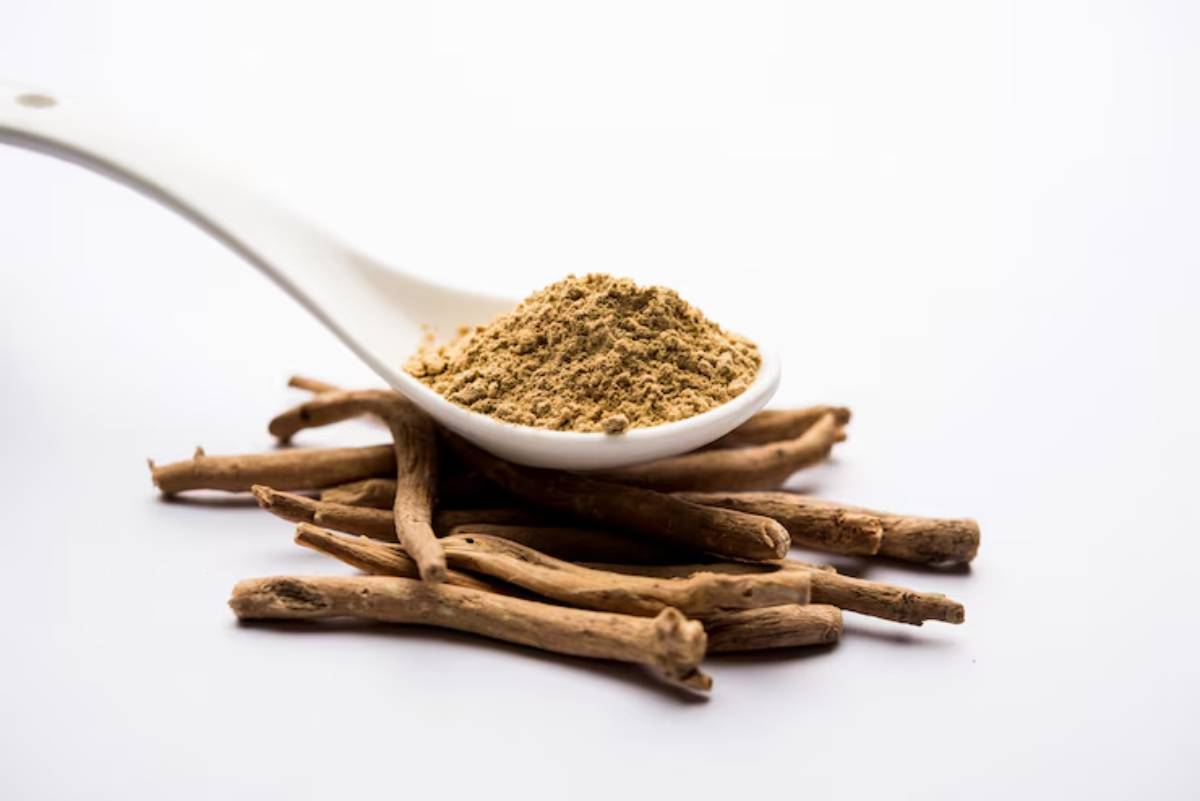 A white spoon with powdered adaptogen sits atop a small pile of dried roots, showcasing the earthy brown tones of both.