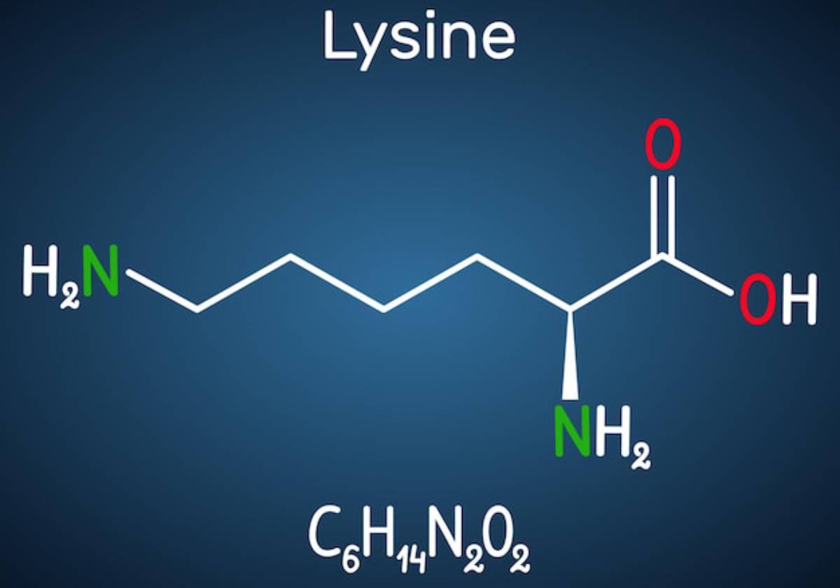 Lysine molecular structure illustration, detailing its chemical formula C6H14N2O2 and highlighting key elements in green and red.