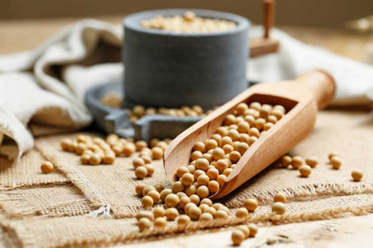 A wooden scoop filled with soybeans, resting on burlap, with scattered soybeans and a stone bowl in the background.
