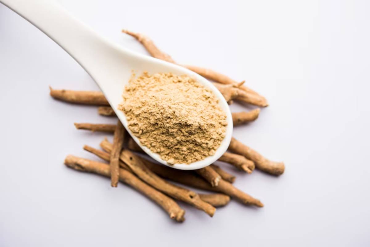 A spoonful of ashwagandha powder sits atop dried ashwagandha roots on a light background, showcasing its herbal properties.